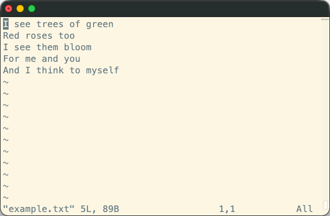 Vim in normal mode