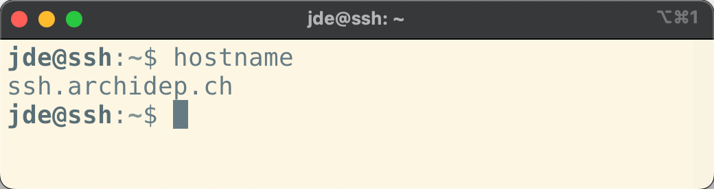 SSH hostname