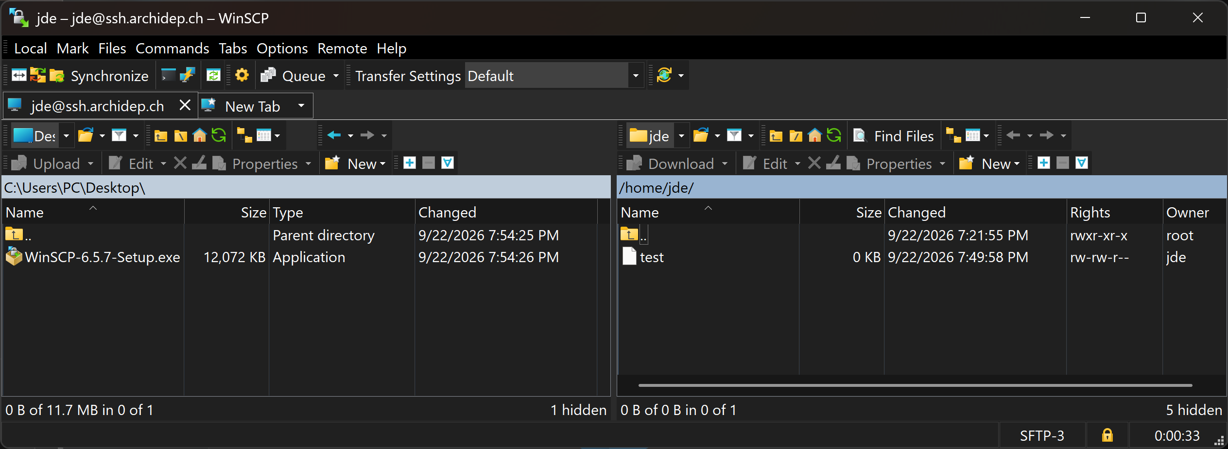 WinSCP connected to the server