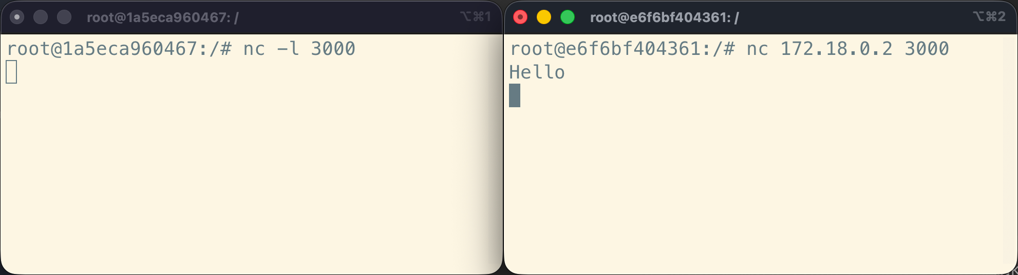Netcat isolated